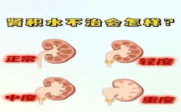 肾脏里积攒的烦恼是身体在呼救
